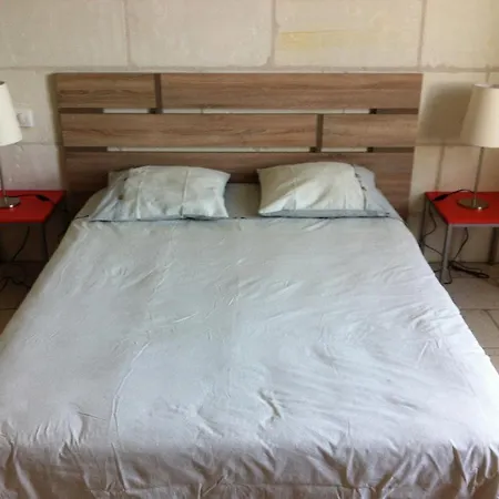 Chambres d'Hôtes Les Bords du Cher Saint-Aignan  Extérieur photo